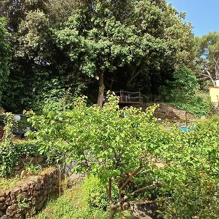 A 2 Passi Dalla Piazza דירה *