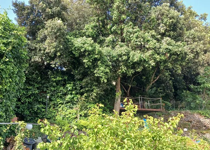 דירה A 2 Passi Dalla Piazza